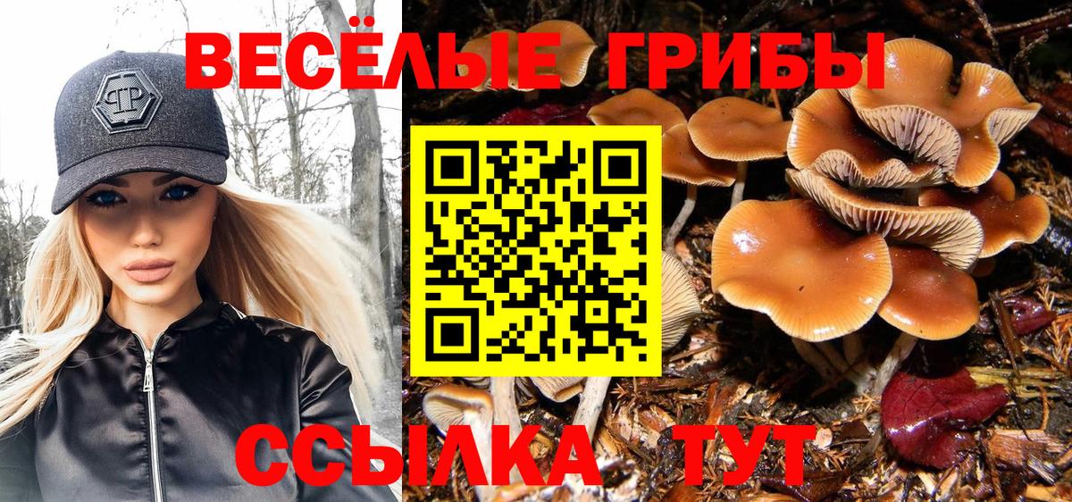 Дербент  Псилоцибиновые грибы Cubensis  Вход с VPN  купить закладку  Псилоцибиновые грибы прущие грибы 